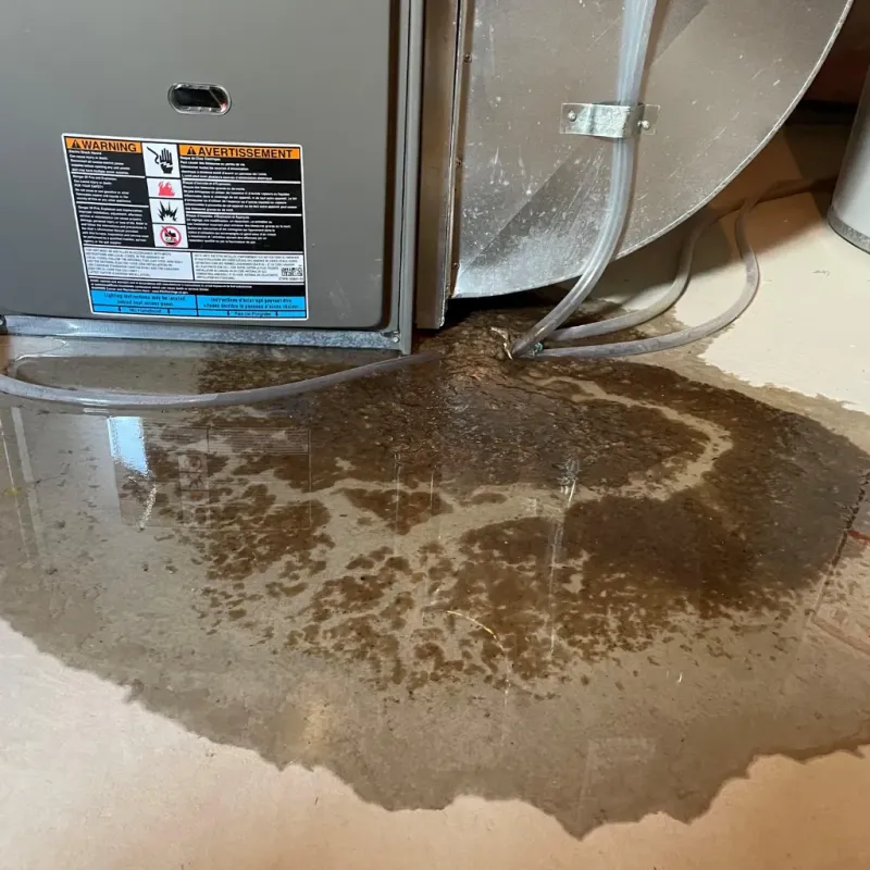 Appliance Leak Cleanup in Cordell, OK